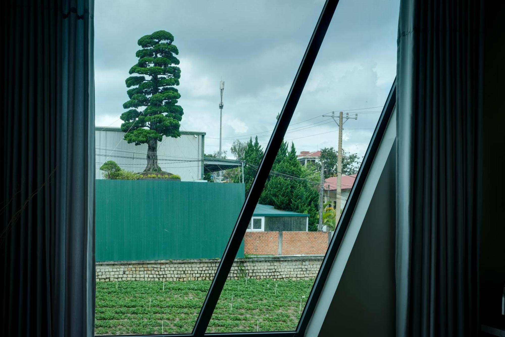 Hanoi Amsterdam Art Studio ดาลัด ภายนอก รูปภาพ
